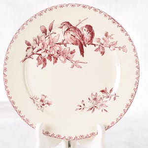Puede incluir: Plato de cer&aacute;mica color crema con un dise&ntilde;o floral y de p&aacute;jaros en color granate. El plato presenta una ilustraci&oacute;n detallada de dos p&aacute;jaros posados en una rama floreciente, con un delicado borde floral. Una adici&oacute;n encantadora a cualquier mesa.