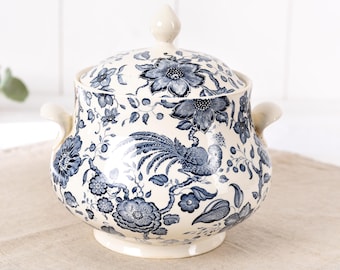 ビレロイ＆ボッホ パラディーゾのブルーボウルプレート、青白磁の