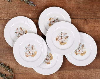 Assiettes anciennes de Bavaria, Winterling Röslau. Lot de 6 petites assiettes, véritable porcelaine allemande, de Bavière, décor canards.