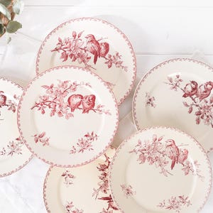 Puede incluir: Un conjunto de platos de cer&aacute;mica color crema con un dise&ntilde;o de p&aacute;jaros y flores rojas. Los platos tienen un borde decorativo y est&aacute;n dispuestos sobre una superficie blanca. Una adici&oacute;n encantadora a cualquier juego de vajilla.