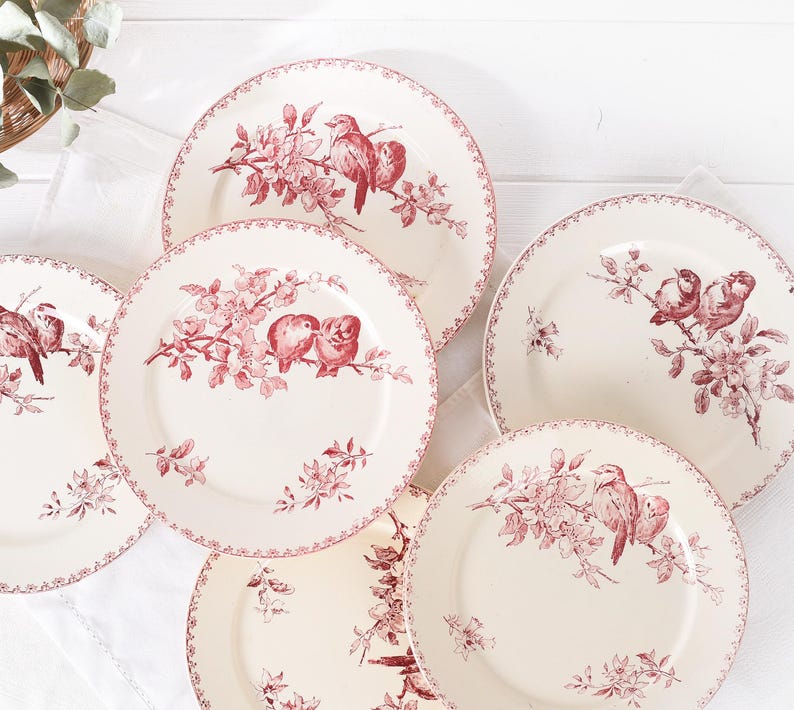 Puede incluir: Un conjunto de platos de cer&aacute;mica color crema con un dise&ntilde;o de p&aacute;jaros y flores rojas. Los platos tienen un borde decorativo y est&aacute;n dispuestos sobre una superficie blanca. Una adici&oacute;n encantadora a cualquier juego de vajilla.