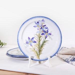 Antique Choisy-le-Roi Ironstone Plate - Hand-Painted Floral Décor - 19th Century French Pottery - Collectible French Tableware