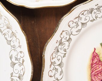 8月末まで_セットSt. Amand Nord ORCHIESディナープレート St Amand Plate. Set of 4 Vintage French China Plates