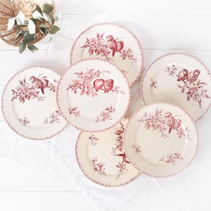 Può includere: Un set di sei piatti in ceramica color crema con un motivo di uccelli e fiori rossi. I piatti sono disposti su un panno bianco, con un cestino di vimini sullo sfondo. I piatti hanno un bordo smerlato.