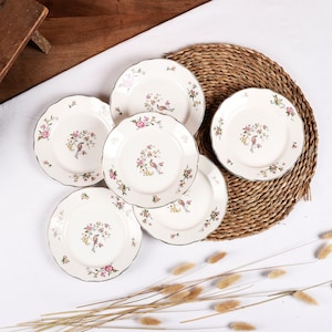 Vintage porcelain dessert plates set of 6 small plates Sarreguemines, France. Bird of paradise decor.