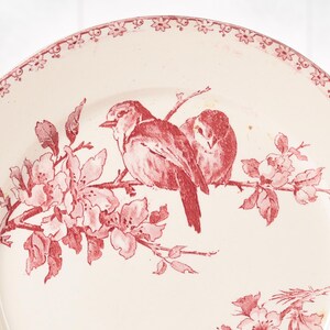 Puede incluir: Plato de cer&aacute;mica blanco con dise&ntilde;o floral y de aves en rojo. Dos p&aacute;jaros posados en una rama con flores. El borde del plato tiene un patr&oacute;n floral decorativo. Estilo vintage.