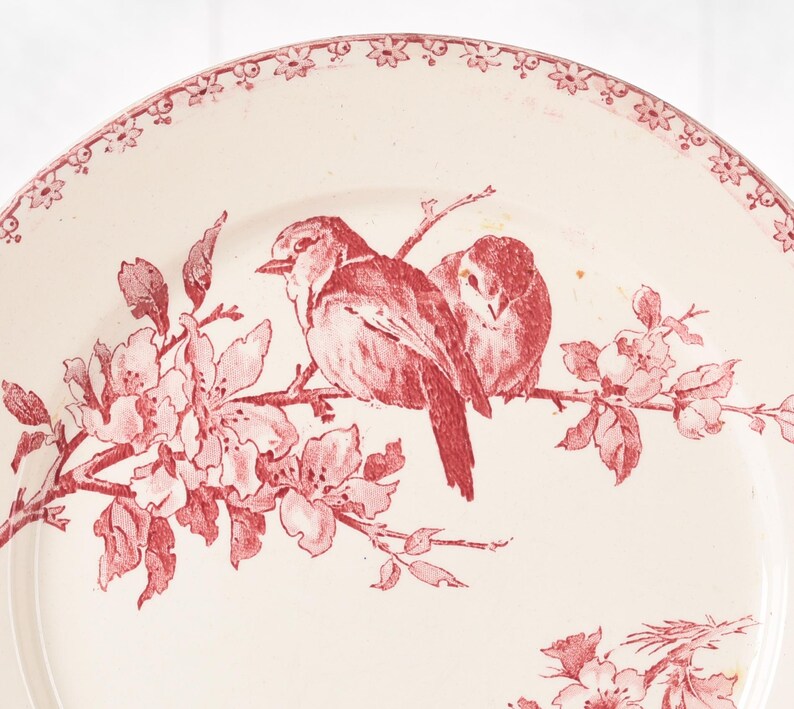 Puede incluir: Plato de cer&aacute;mica blanco con dise&ntilde;o floral y de aves en rojo. Dos p&aacute;jaros posados en una rama con flores. El borde del plato tiene un patr&oacute;n floral decorativo. Estilo vintage.