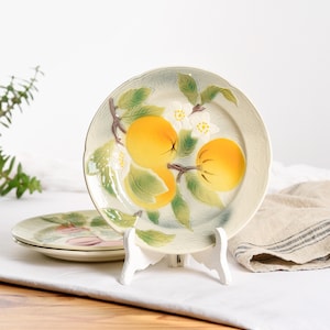 French Antique Majolica Plate. Vintage Dessert Plate.  Fruit pattern by St Clement.