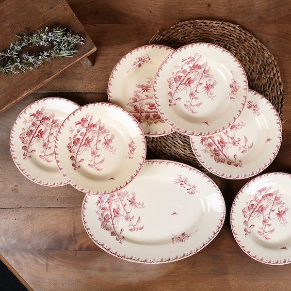 Collection d'assiettes anciennes, Porcelaine Opaque de GIEN. Ensemble de 6 assiettes creuses avec grand plat ovale, modèle FUCHSIA.