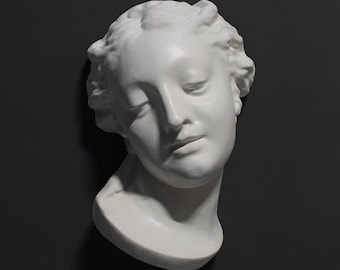 Máscara de gesso de banhista (Vênus) de Allegretti. Decoração para design de interiores. Escultura de Parede em Gesso Artesanal, Elenco de Referência do Artista.
