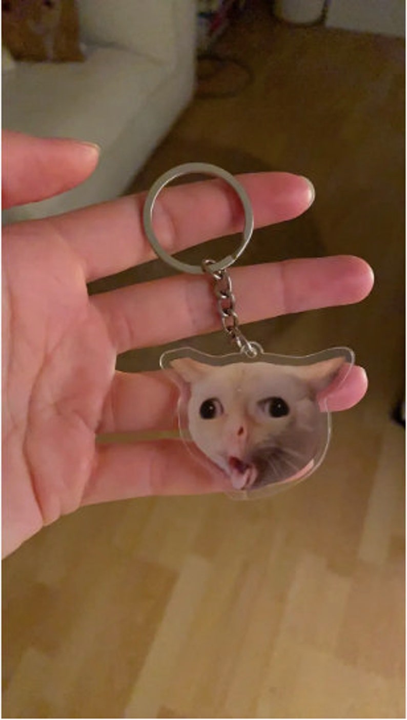 Cat Gagging Meme Key Chain Cat Coughing Meme Car Etsy