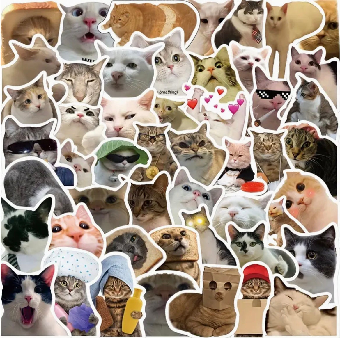 Crying cat stickers - .de