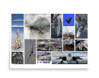 F-14 Tomcat Fighter Jet Collage Poster – Premium Aviation Art Print on Photo Paper