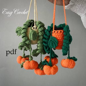 SCHEMA E VIDEO PER L'UNCINETTO. Schema per pianta in PDF. Pianta di zucca. Pianta per auto. Cesto appeso all'uncinetto. Regalo per gli amanti delle piante. Tutorial in inglese