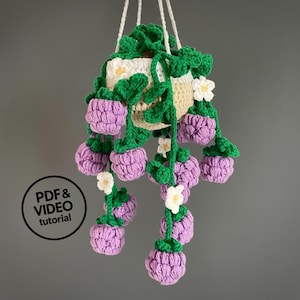 Modèle PDF au crochet à suspendre aux framboises. Plante Amigurumi à faire soi-même. Décoration de cuisine au crochet