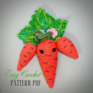 Schema uncinetto calamita da frigorifero PDF. Schema carota fai da te. Amigurumi di verdure. Schema cibo. Decorazione cucina. Giocattoli di cotone. Termini in inglese
