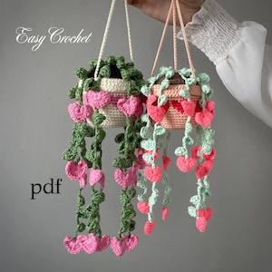 SCHEMA E VIDEO PER L'UNCINETTO. Schema per l'uncinetto di piante. Cesti appesi con fiori. Regalo per San Valentino. Pianta per auto. Cesto appeso all'uncinetto.