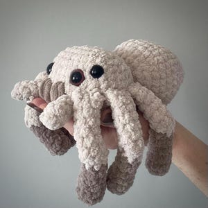 May include: A plush, crocheted spider toy in cream and taupe. The spider has large, black eyes with brown centers and eight legs. The legs and body are made of a soft, textured yarn. The toy is held in a hand.