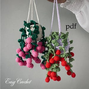 MOTIF AU CROCHET ET VIDÉO. Motif végétal au crochet Pdf. Plante pour voiture. Crochet de panier suspendu. Décoration de cuisine. Tutoriel sur les patrons en anglais