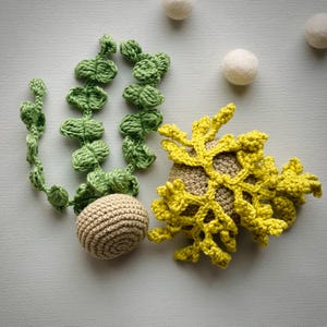 10-i-1-virkmönster för akvarier i PDF-format. 10-i-1-amigurumi med havsdjur. Fisk, mussla, sjöstjärna, snigel, sjögräs bild 19