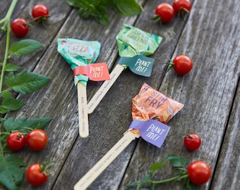 Seed Lollipop Culinary-Pizza, Super Greens or Stir Fry