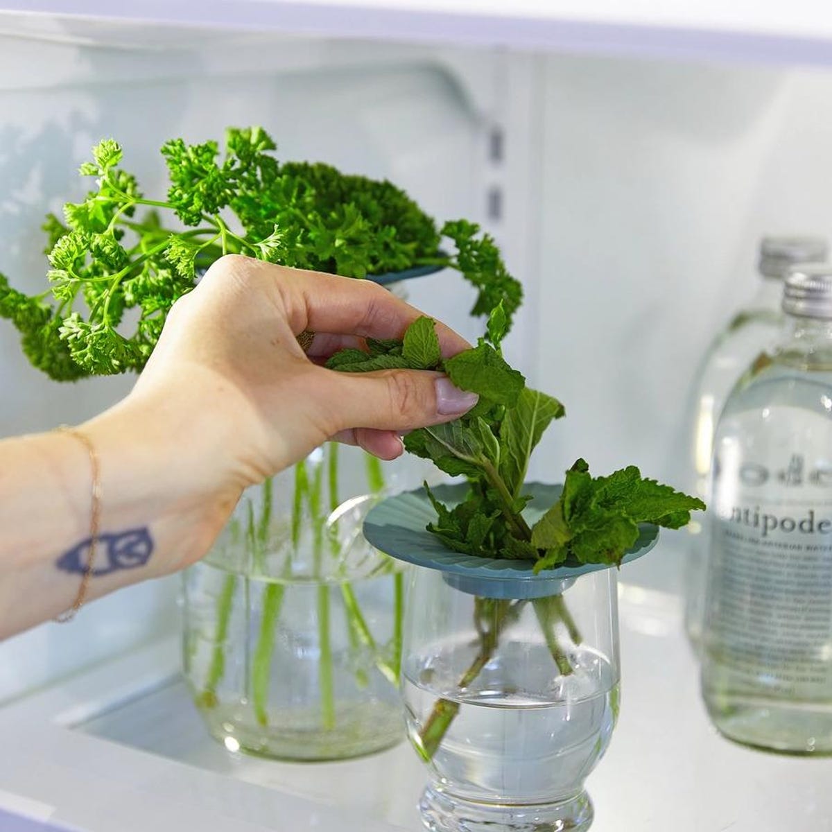 Fresh Herb Keeper: Eco-Friendly Kitchen Storage, Set of 2