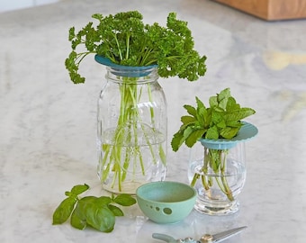 Fresh Herb Keeper: Eco-Friendly Kitchen Storage, Set of 2