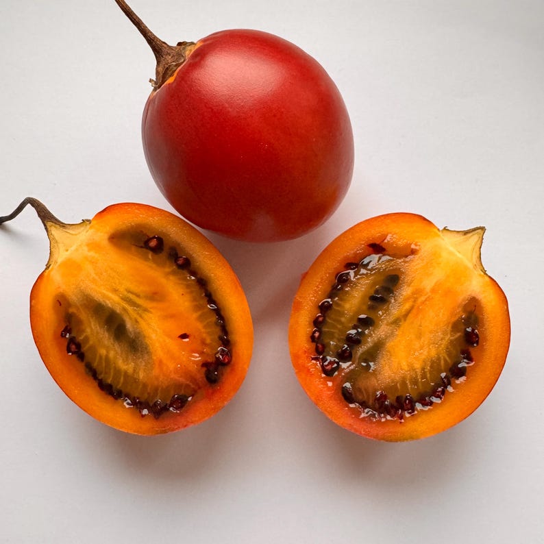 K&ouml;nnte beinhalten: Drei Tomatillos, eine ganz und zwei halbiert, zeigen das orange Fruchtfleisch und die schwarzen Kerne. Die ganze Tomatillo ist rot.