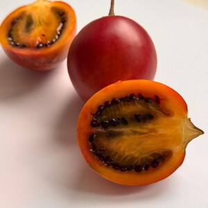 K&ouml;nnte beinhalten: Drei Tomatillos, eine ganz und zwei halbiert, zeigen das orange Fruchtfleisch und die schwarzen Kerne. Die Tomatillos liegen auf einer wei&szlig;en Oberfl&auml;che.