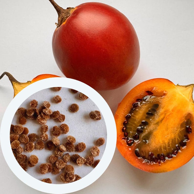 K&ouml;nnte beinhalten: Nahaufnahme einer halbierten, orangefarbenen Frucht mit dunkelbraunen Samen. Die Frucht ist von zwei ganzen, roten Fr&uuml;chten mit gr&uuml;nen Stielen umgeben.