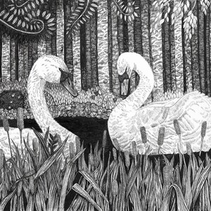 Swan Lake Art Print