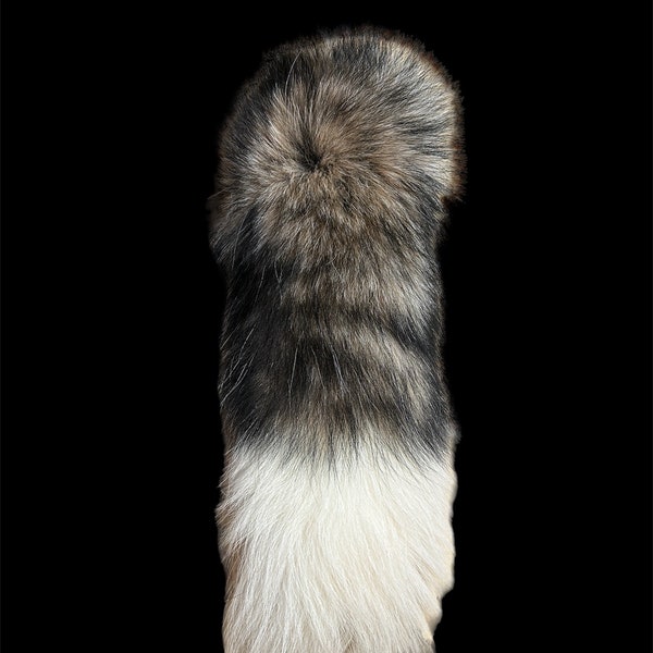 marble fox tails (taxidermy/Vulpes Vulpes)