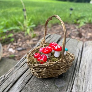 Mushroom Basket