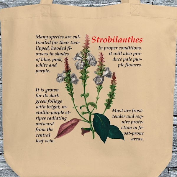 Floral Strobilanthes Tote Bag - Floral Tote Bag, Cute Botanical Tote Bag, Flowers Tote Bag