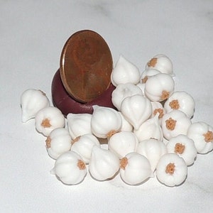 May include: A pile of small, white garlic cloves, some with brown tops, next to a copper penny.