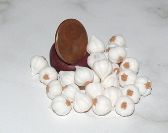 May include: A pile of small, white garlic cloves, some with brown tops, next to a copper penny.