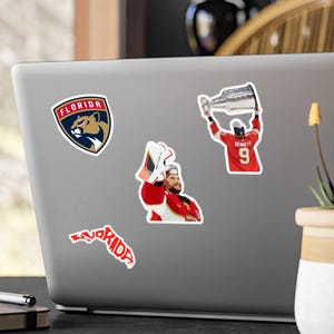 Pacchetti di adesivi assortiti Florida Hockey; adesivi fustellati, regalo perfetto per gli appassionati di hockey