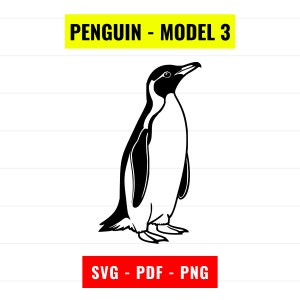 Ritratto di pinguino SVG: contorno vettoriale, PNG, PDF (download digitale)