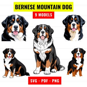 Berner Sennenhund SVG-Bundle, Berner Vektor, niedlicher Hund Porträt SVG, Hund PNG 300 dpi, PDF, Clipart Hund svg Datei Sofortiger digitaler Download