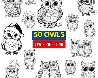 Eulen Porträt Illustrationen SVG Bundle: 50 Vogel Vektor Designs (Digitaler Download)