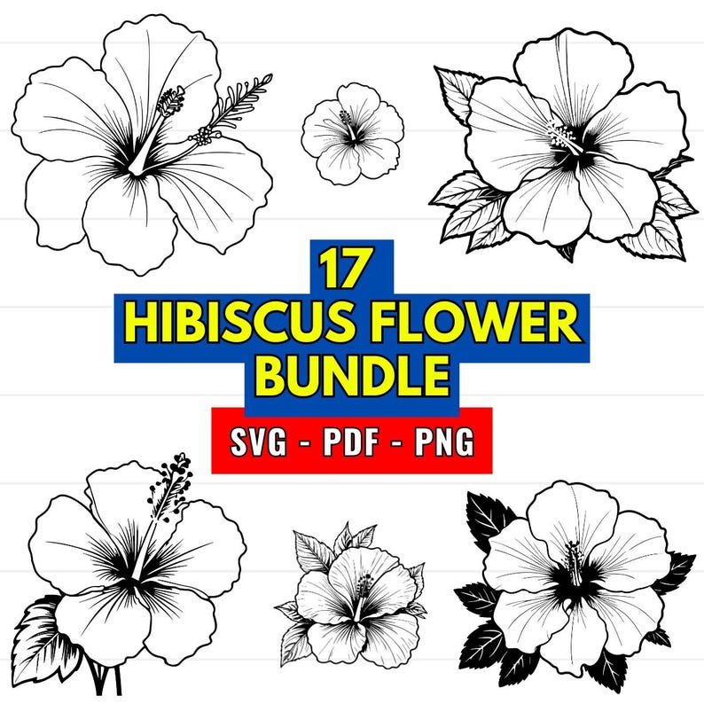 Hibiscus Flower SVG Bundle, PNG 300 Dpi: 17 Floral Designs (digital ...