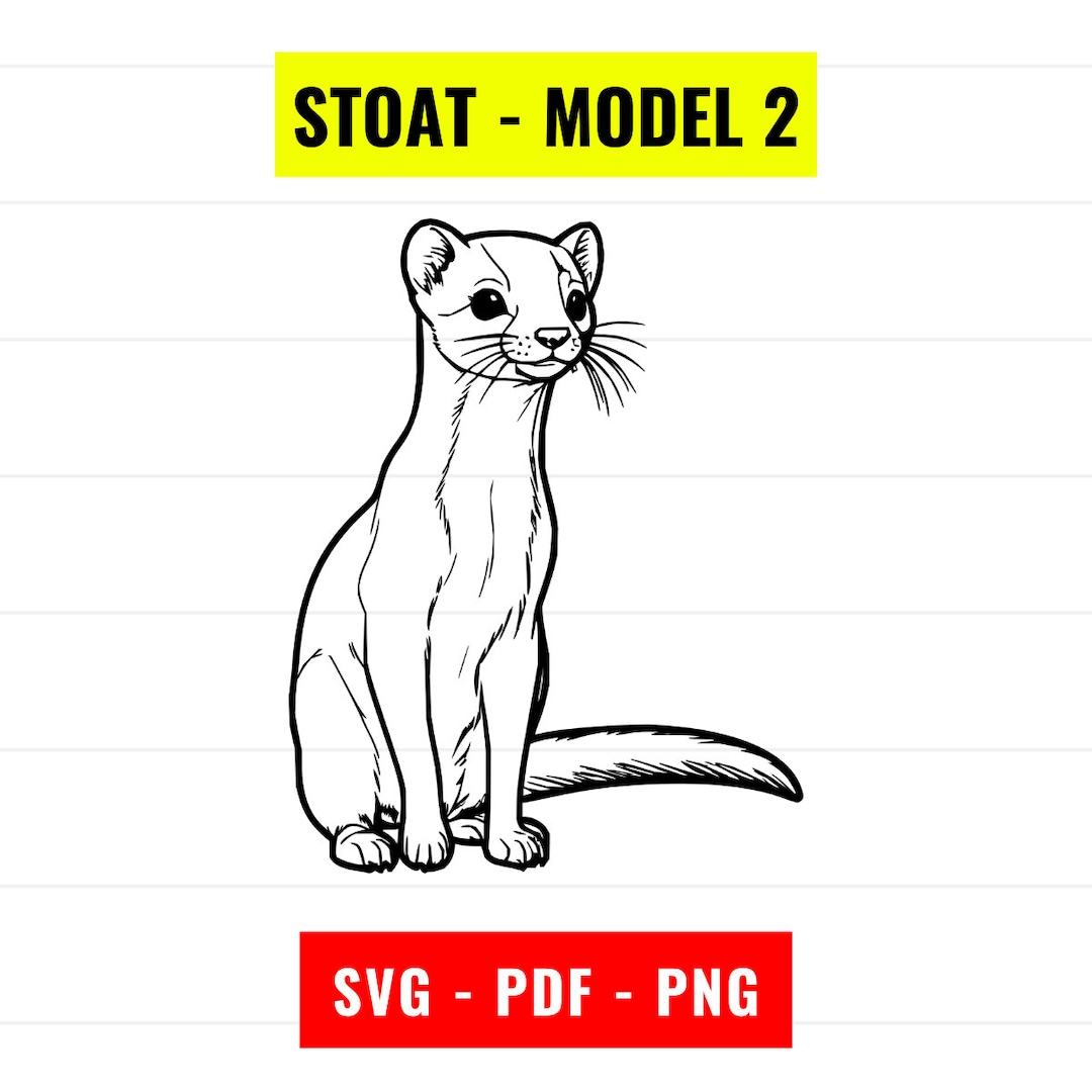 Stoat SVG, Stoat Outline, Stoat Vector, PNG 300 dpi, PDF, Stoat ...