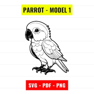 Cute Parrot SVG, Parrot Outline Vector, Parrot PNG 300 dpi, PDF, Parrot bird portrait illustration cut file cricut Instant Digital Download