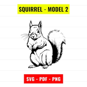 May include: Black and white line art illustration of a squirrel sitting with its tail curled behind it. The squirrel is looking to the left. The image is labeled "Squirrel - Model 2" and "SVG - PDF - PNG".