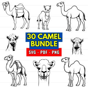 Camel SVG Bundle, PNG 300 dpi: 30 Animal Designs for Cricut (Digital Download)