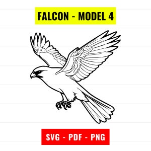 Falcon SVG, Falcon Outline Vector, Falcon PNG 300 dpi, PDF, Falcon portrait, bird silhouette svg cut file cricut Instant Digital Download