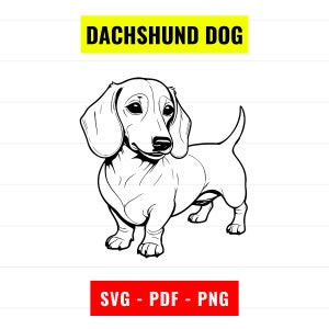 Dachshund dog SVG, Dachshund Outline Vector, dog portrait svg, Dachshund PNG 300 dpi, PDF, cute dog svg cut file Instant Digital Download