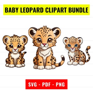 Puede incluir: Un conjunto gráfico digital titulado BABY LEOPARD CLIPART BUNDLE que presenta tres bebés leopardo de dibujos animados con pelaje beige, manchas de color marrón oscuro y ojos grandes. El texto SVG - PDF - PNG aparece abajo sobre fondo rojo.