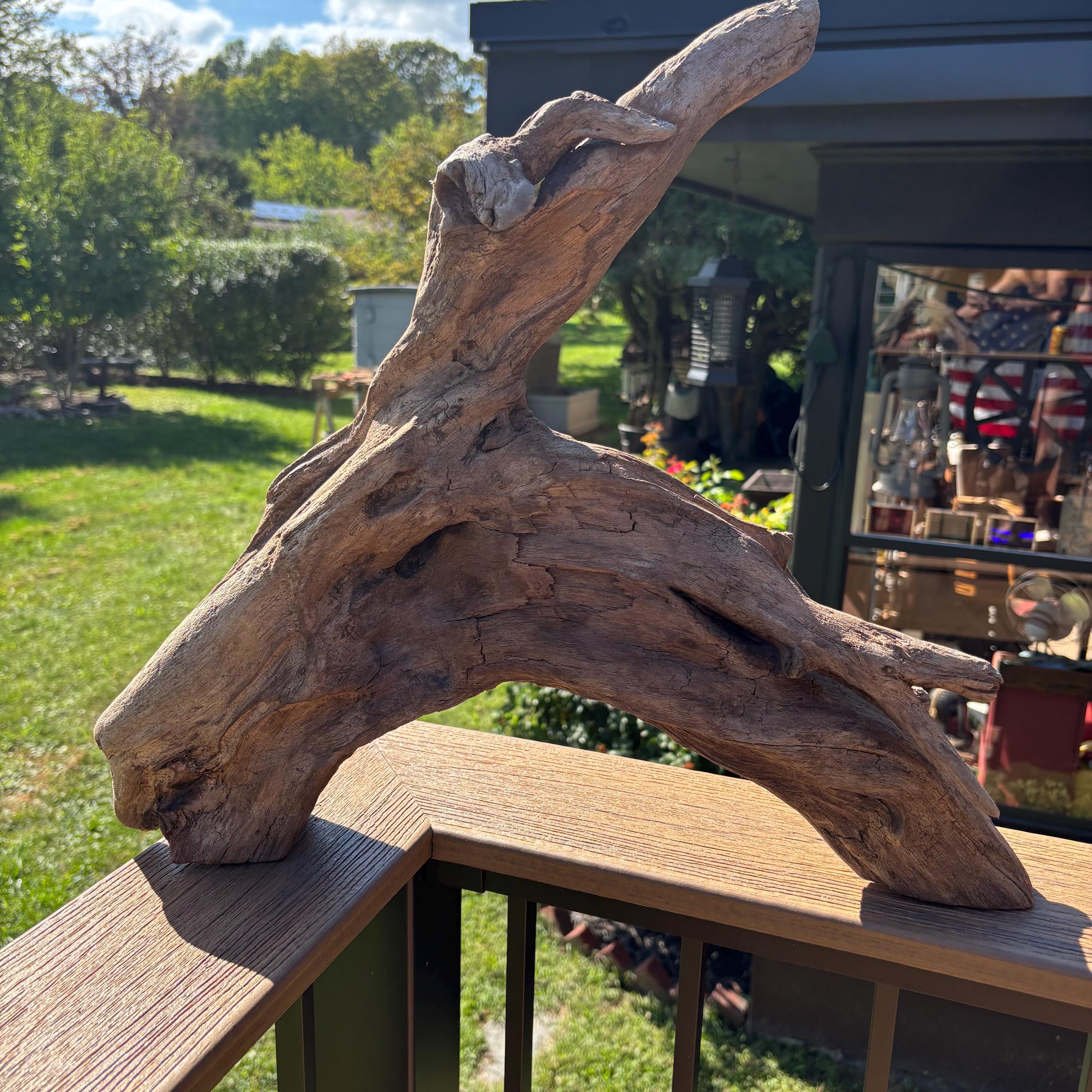 ドリフトウッド　アンバー River Driftwood - Etsy