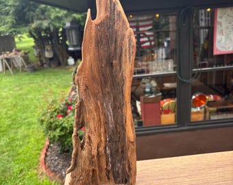 May include: A tall, vertical piece of weathered driftwood with a rough, textured surface. The wood displays a natural gradient of light tan to deep brown tones, featuring organic crevices, jagged edges, and a pointed top, standing upright.